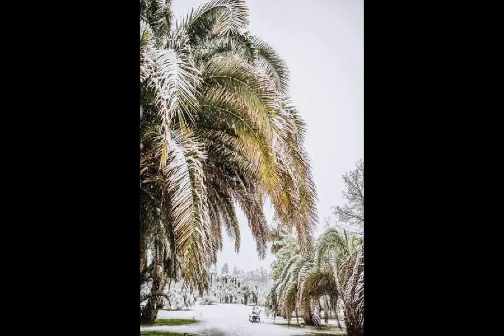 Апарт-отель Парк Горького Неолит