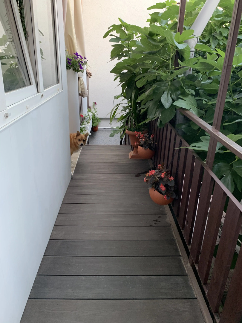 Гостевой дом Инжир