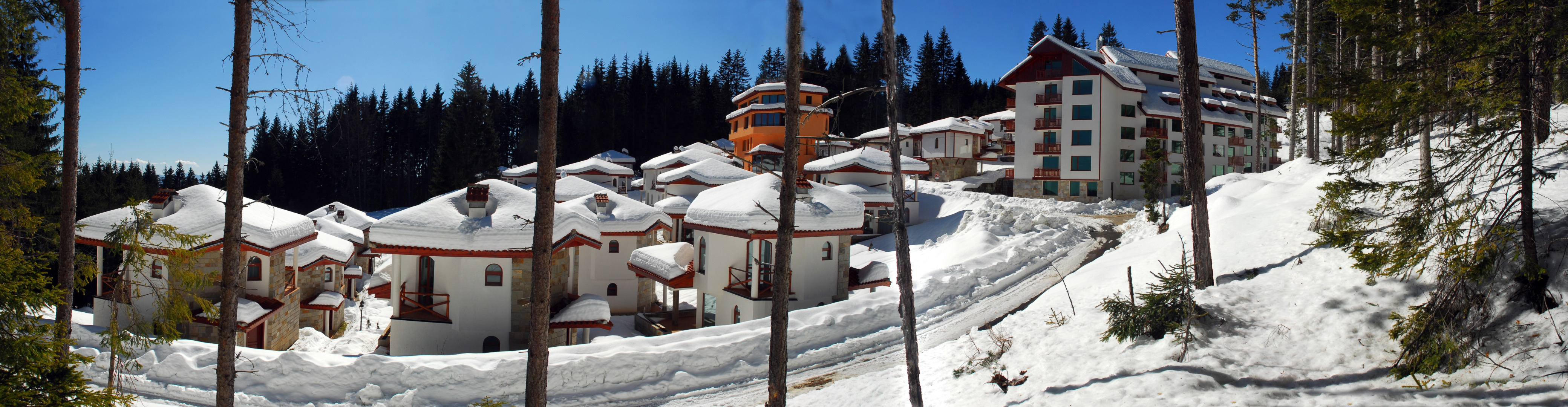 Отель Forest Glade