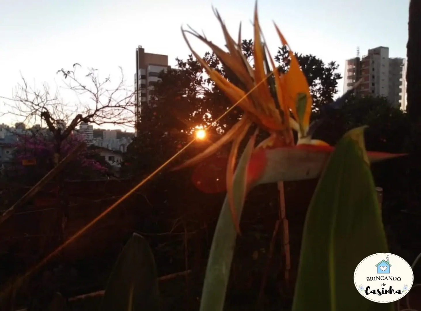 Гостевой Дом Brincando de Casinha