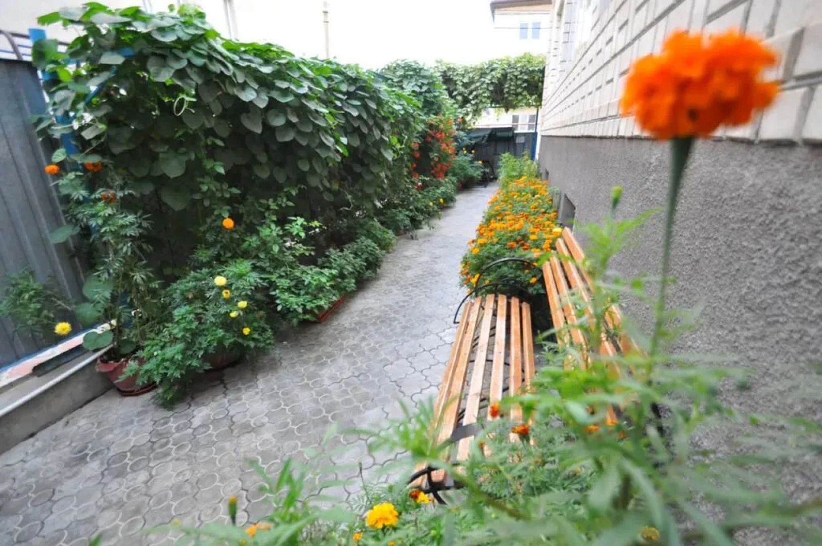 Anafoliya Guest House