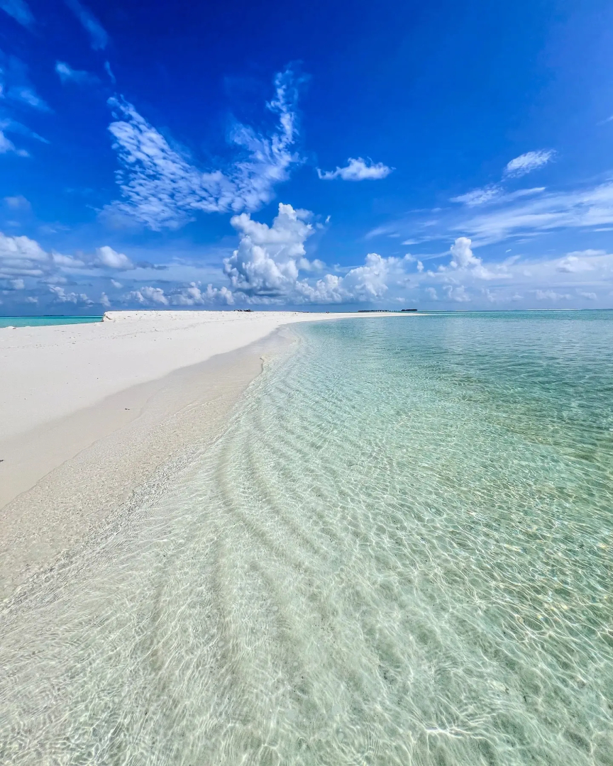Гостевой дом Oceana Inn Maldives