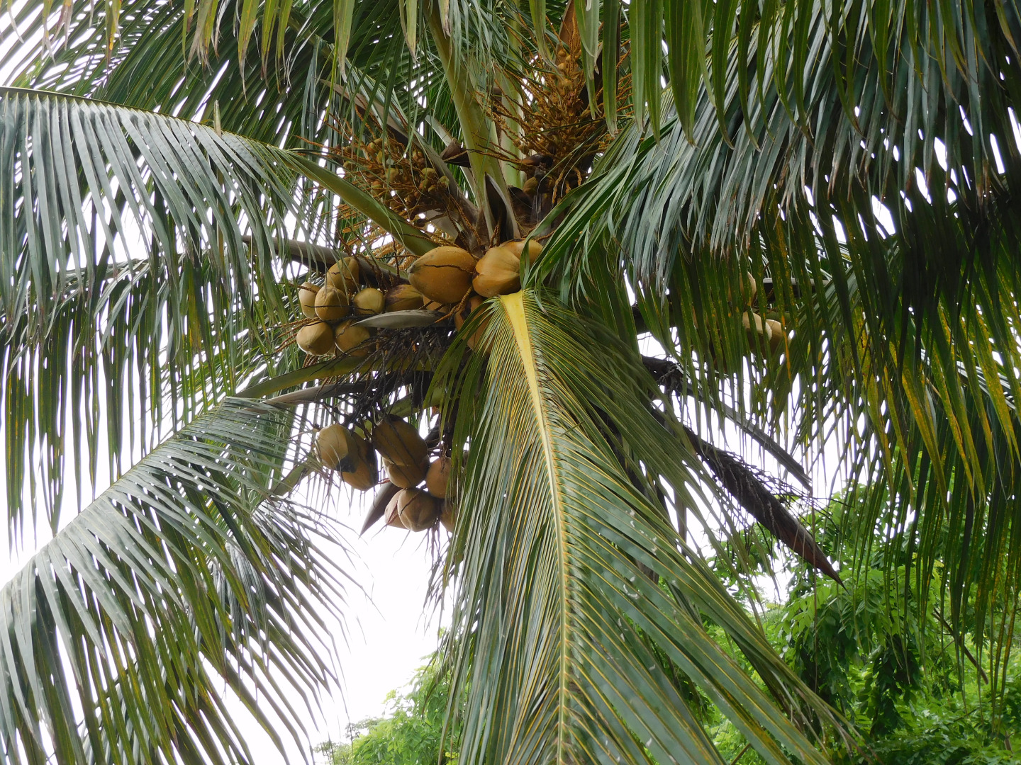 Отель Habitaciones América Rotamundos