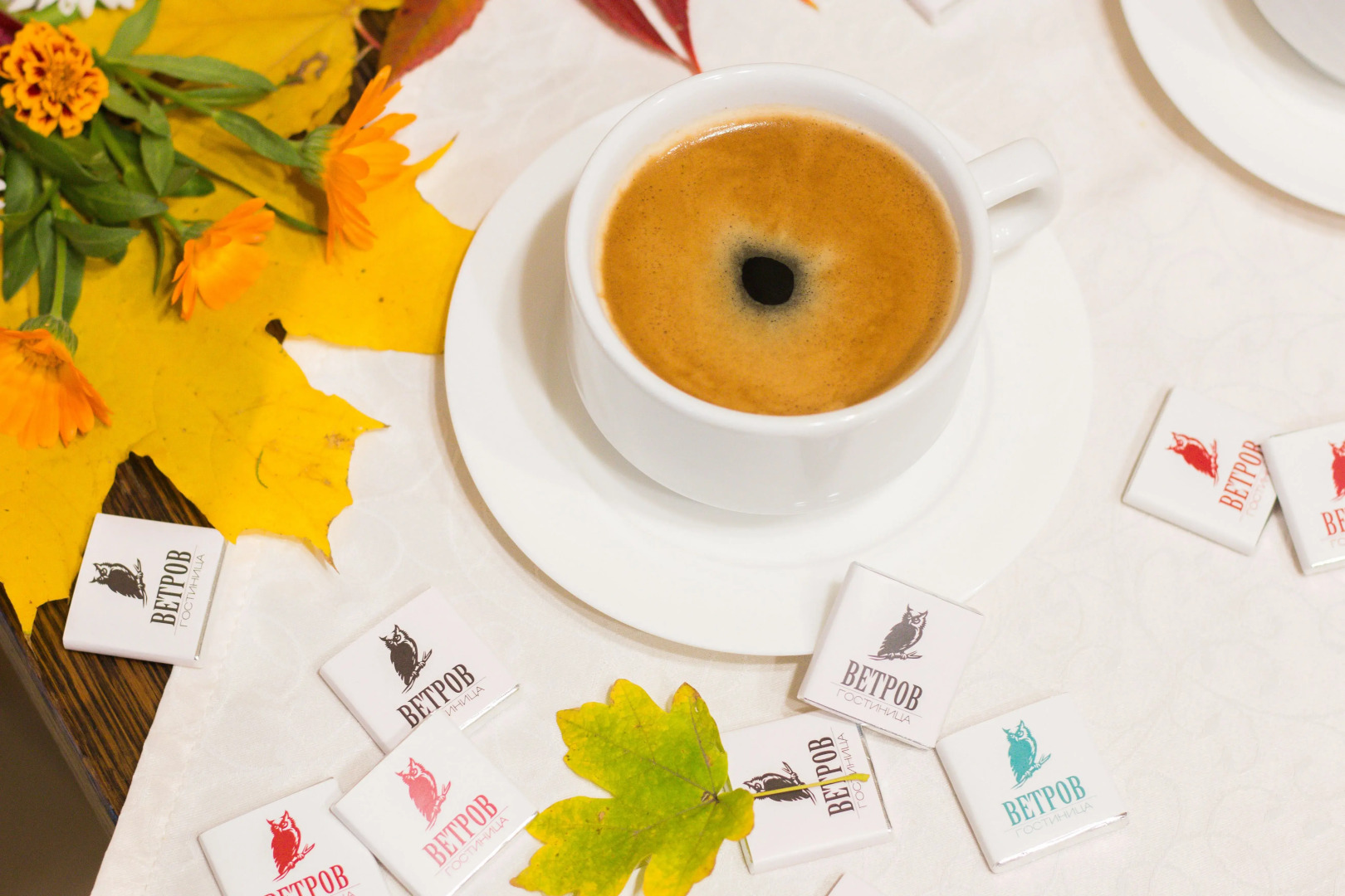 Мини-Отель Ветров