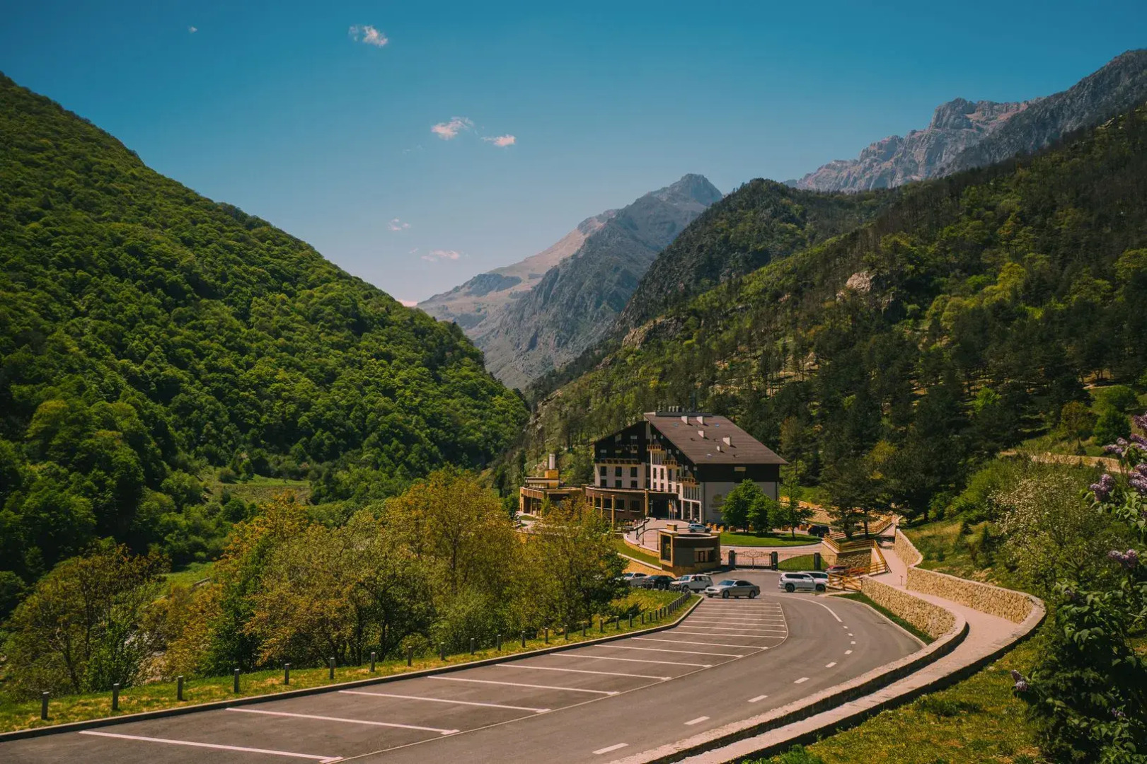 Отель Forrest Terrace