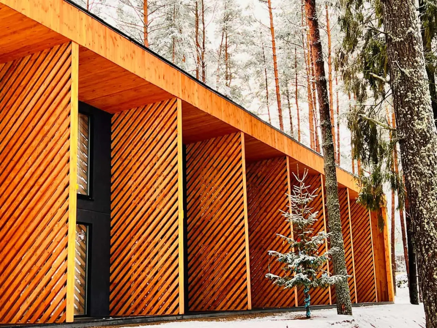 База отдыха Солнечный Бор