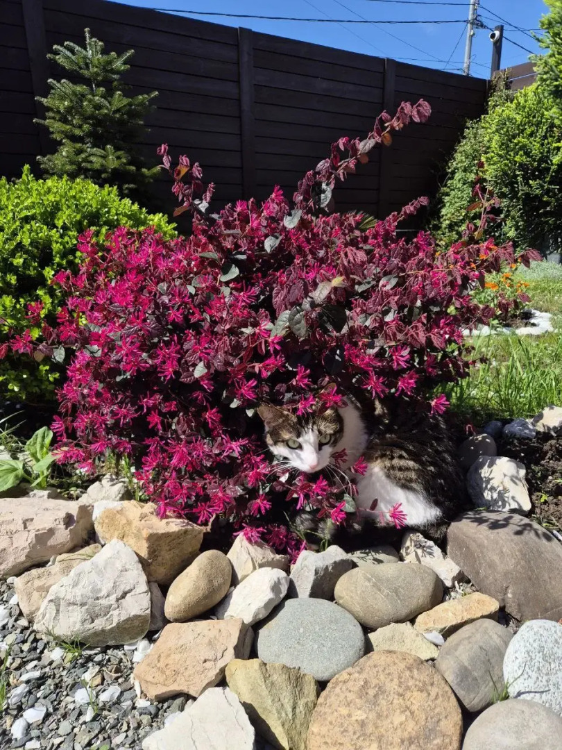 Гостевой дом Валенсия