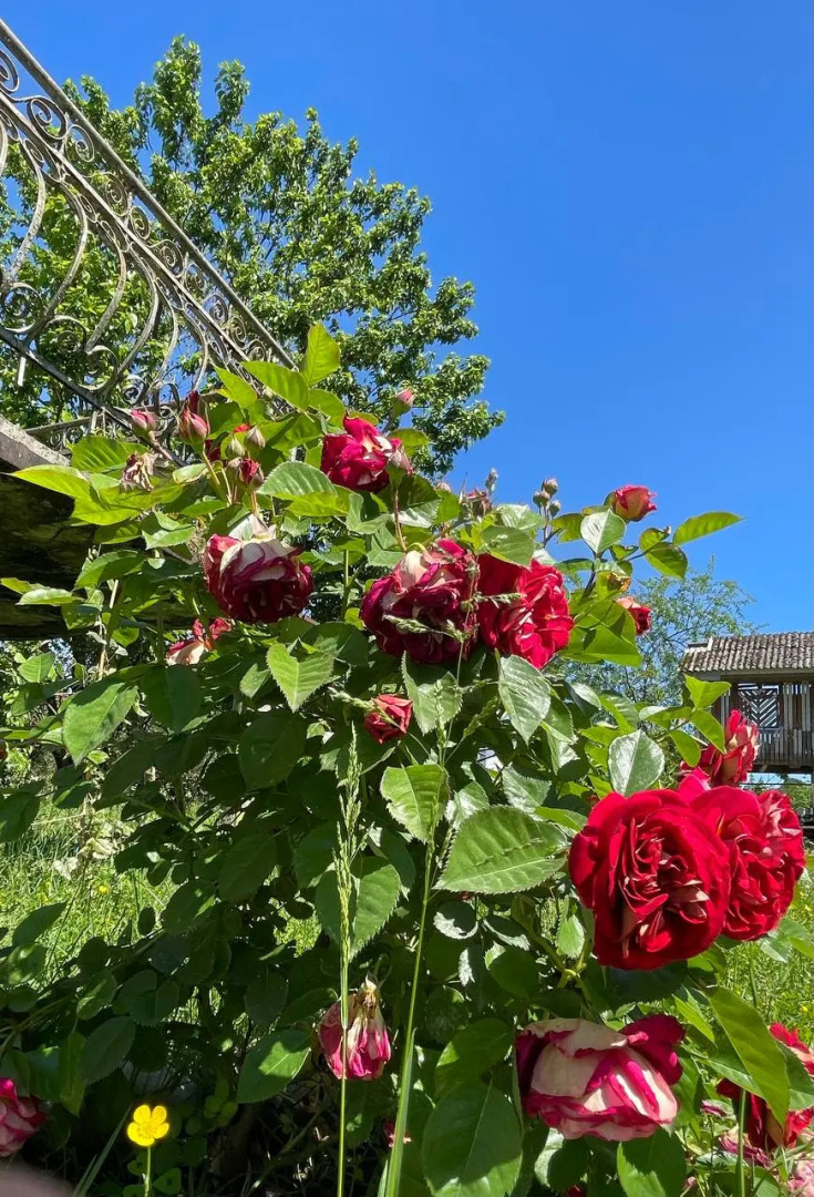 Частный дом Дом в Абхазии