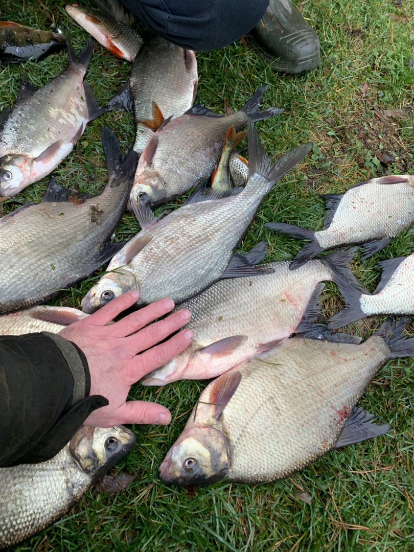 Частный дом На озере