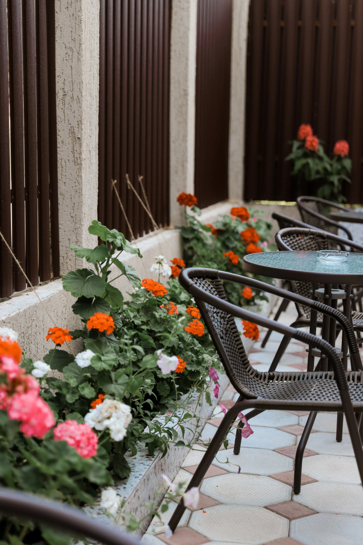 Мини-отель  "Акула"