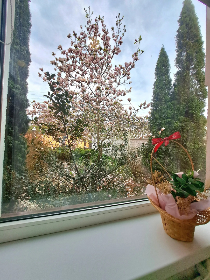 Вилла Магнолия