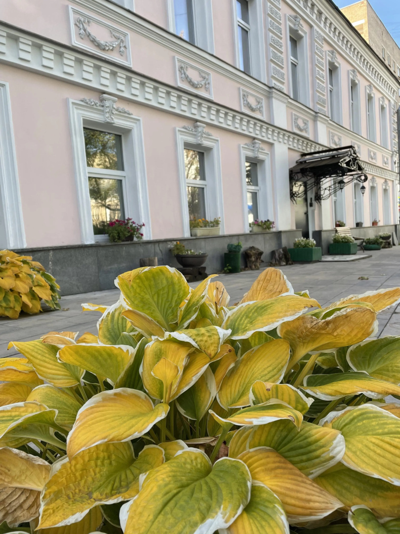 Хостел Artist Hostel на Цветном Бульваре