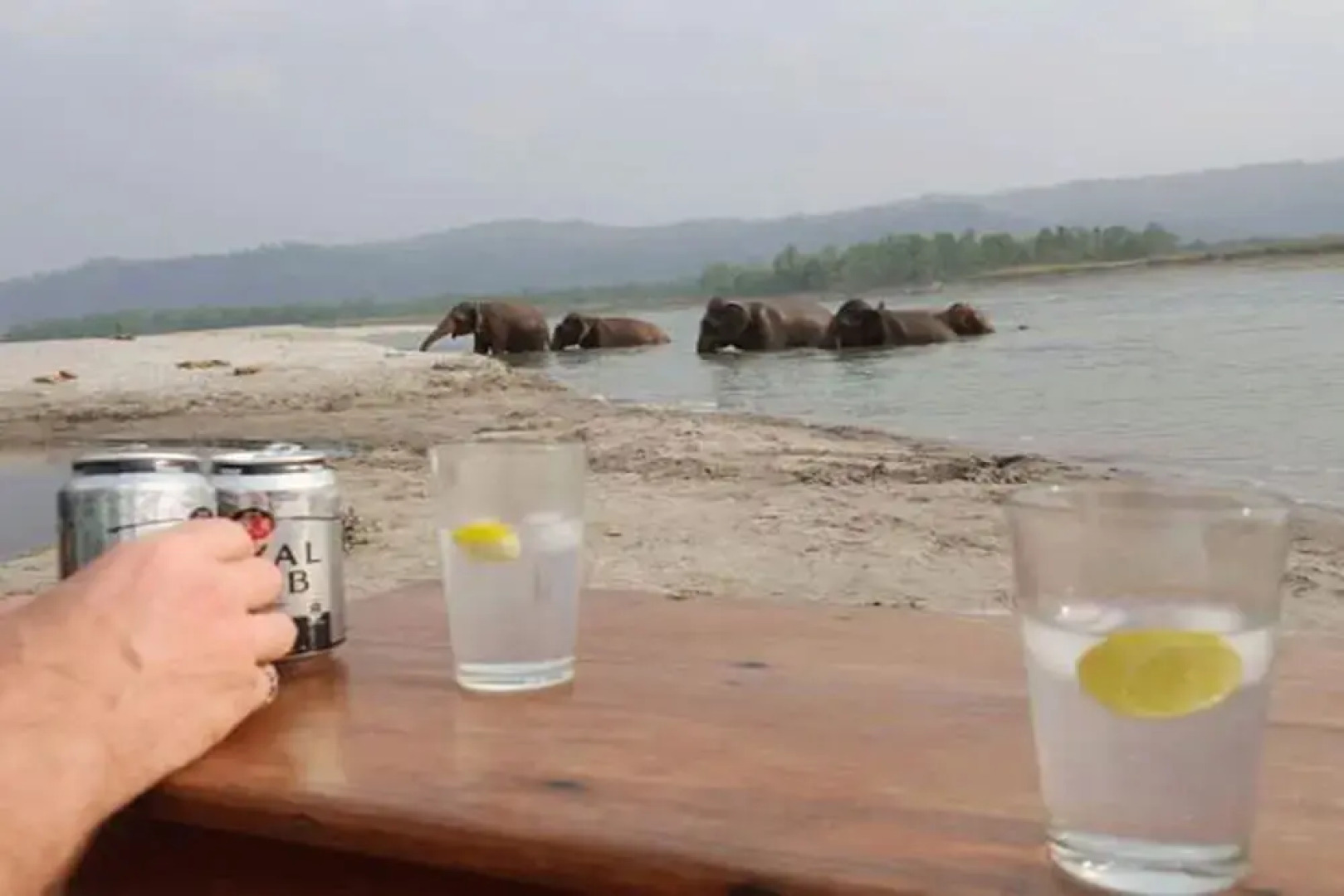 Кемпинг Tigertops Elephant Camp