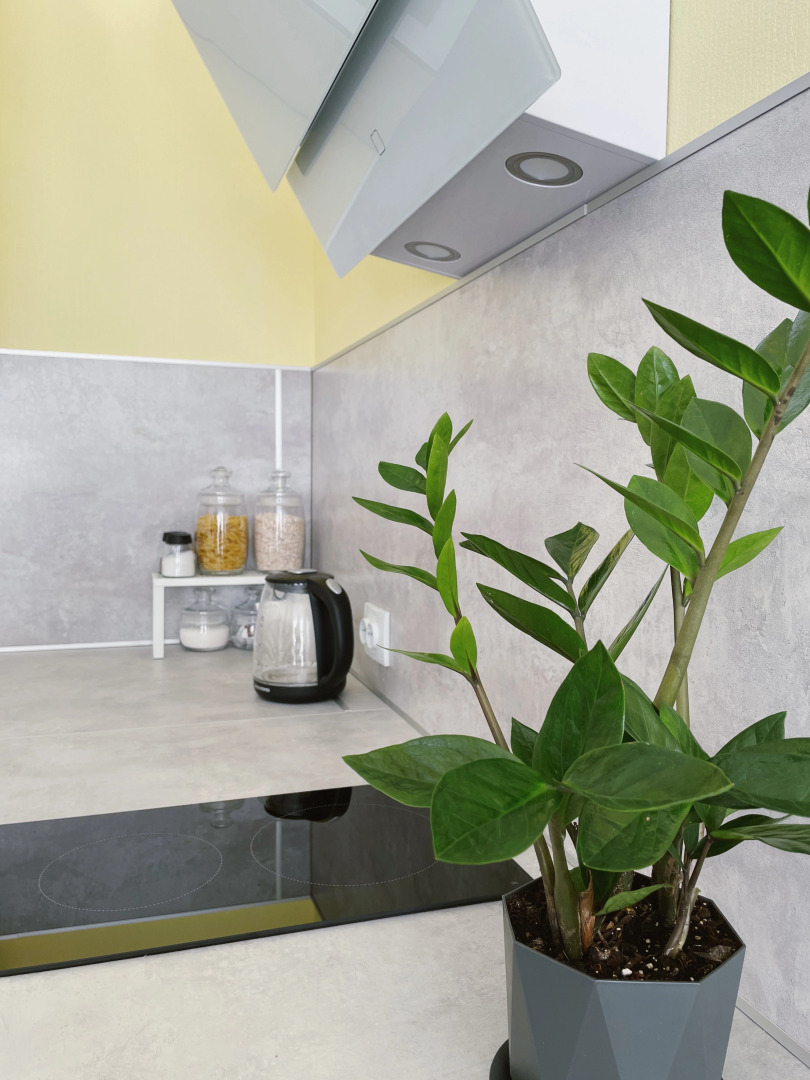 Апартаменты Merino Home Summer