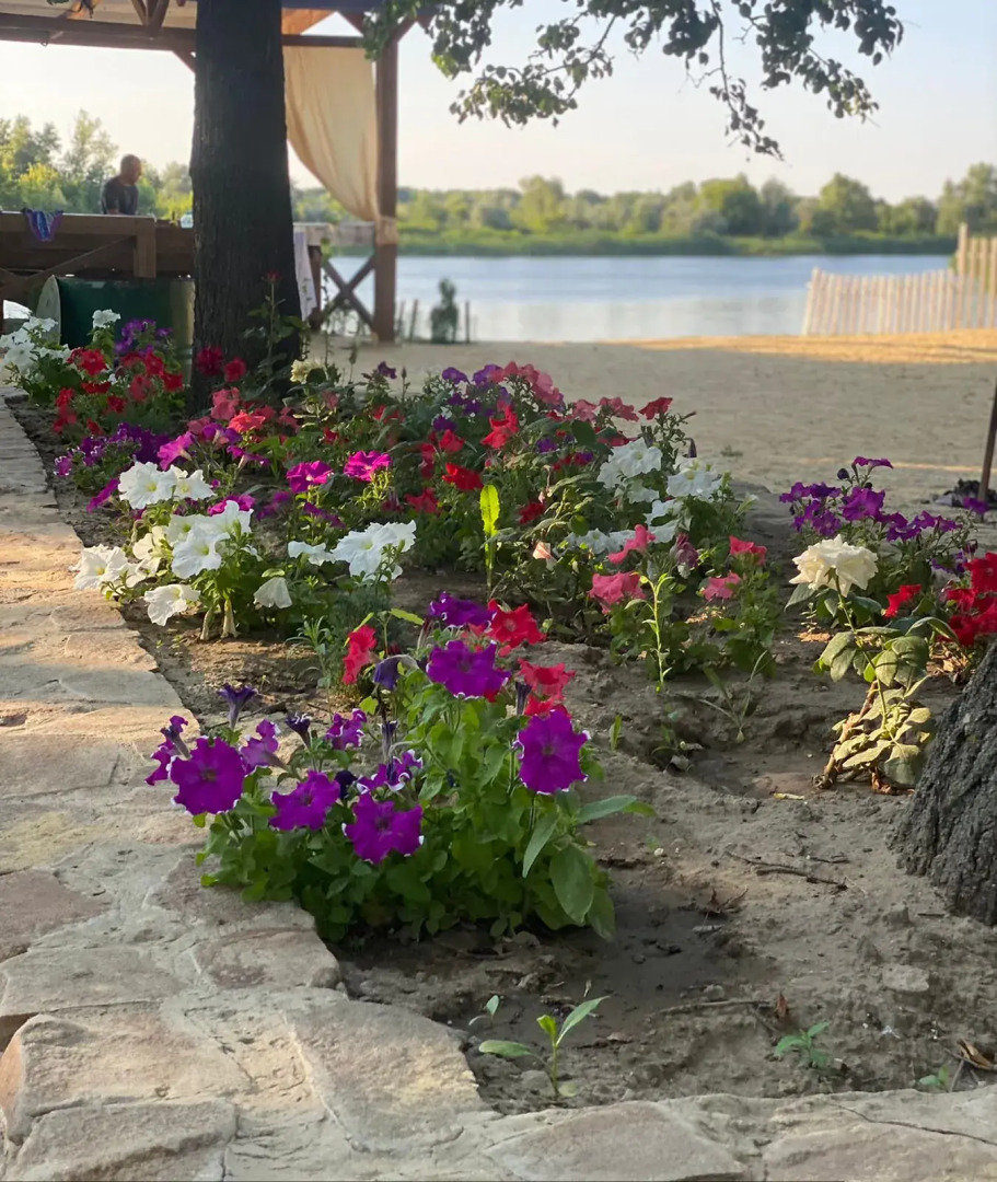 База отдыха Белуга