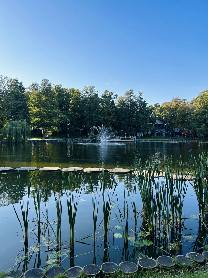 Квартира вблизи моря на Тургенева 9A