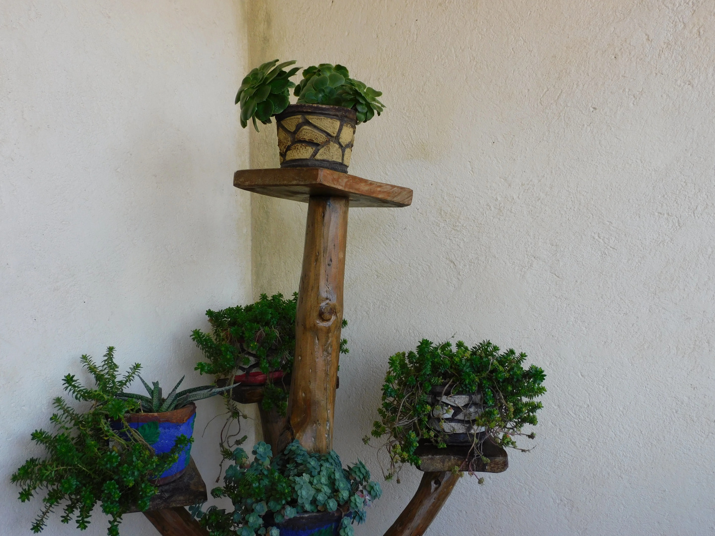 Отель El Huizache Rotamundos