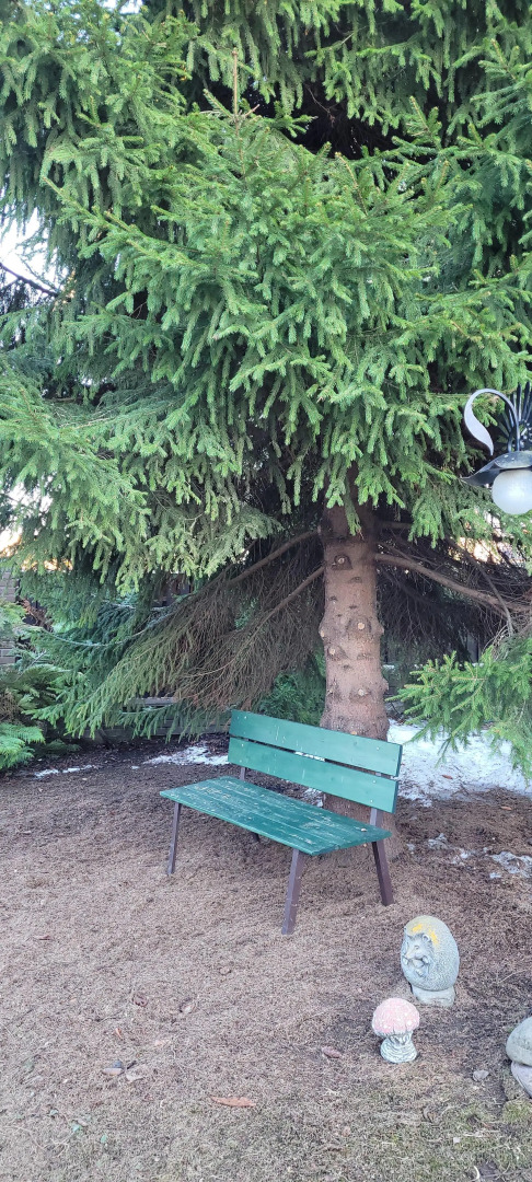 Частный Дом с Сауной и Беседкой