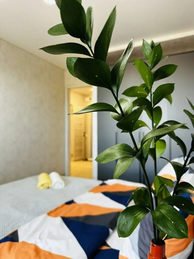 Квартира Кoмфорт Клaсcа