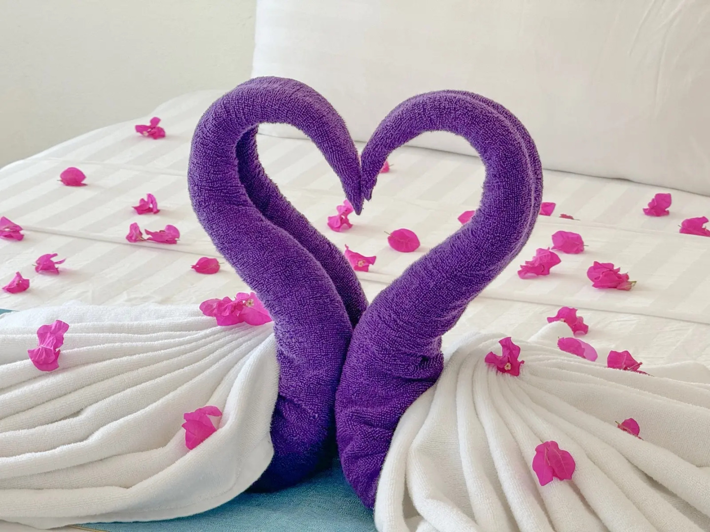 Lagoon Villa Thoddoo