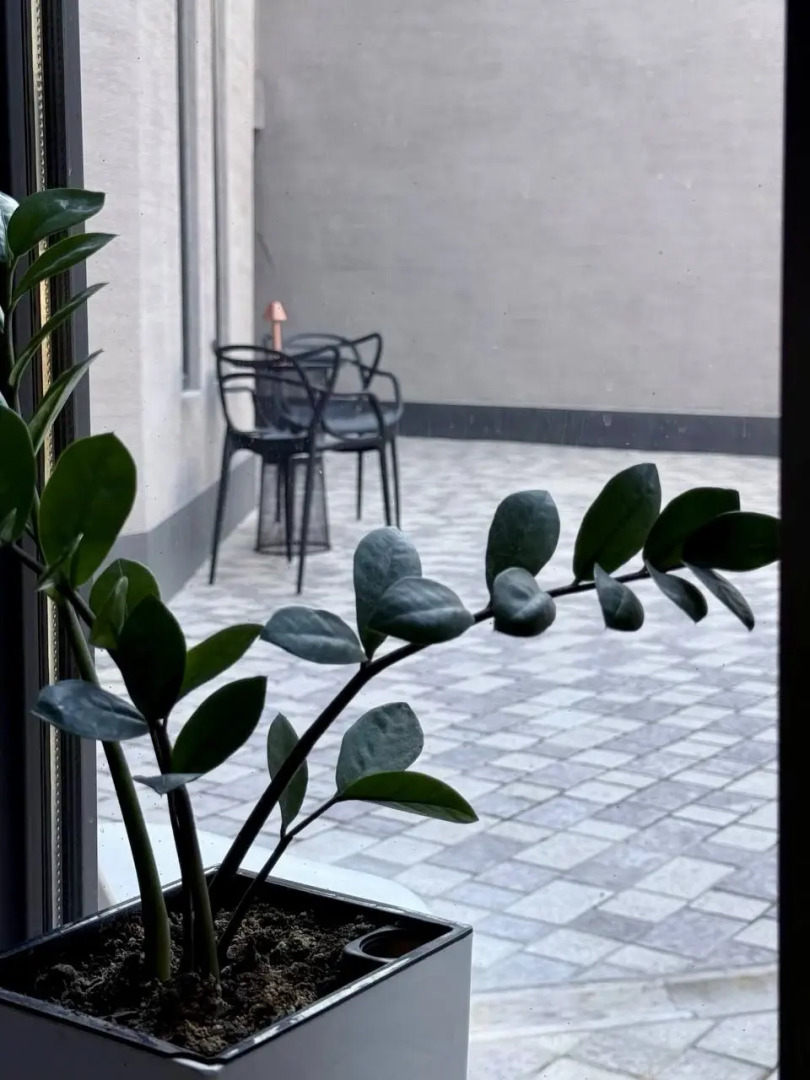 Мини-отель Evita