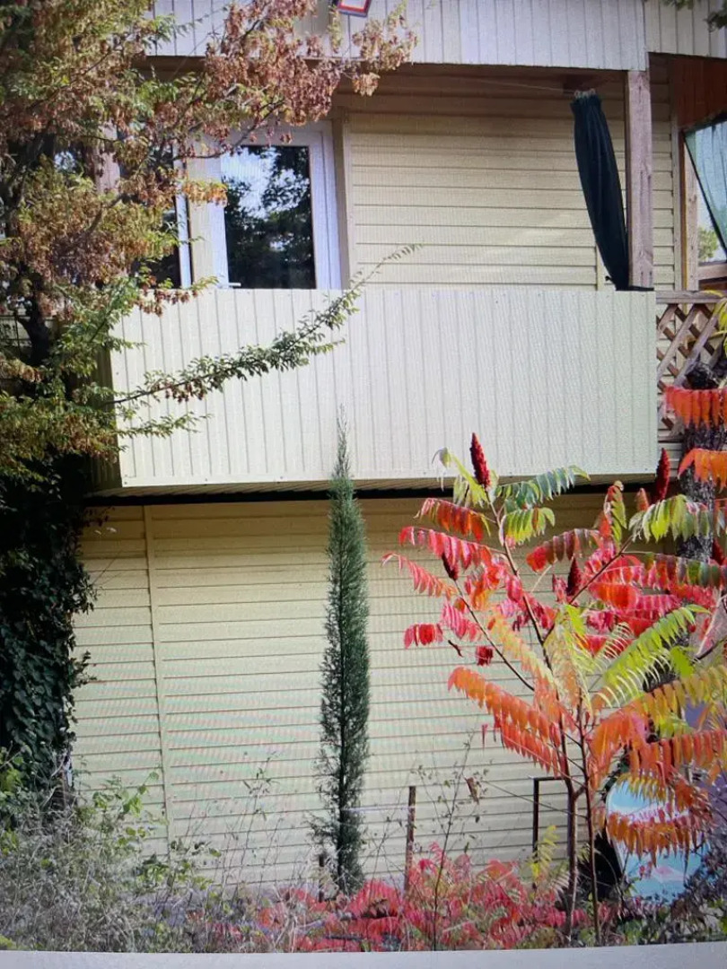 Дом с Енотами  Надежда