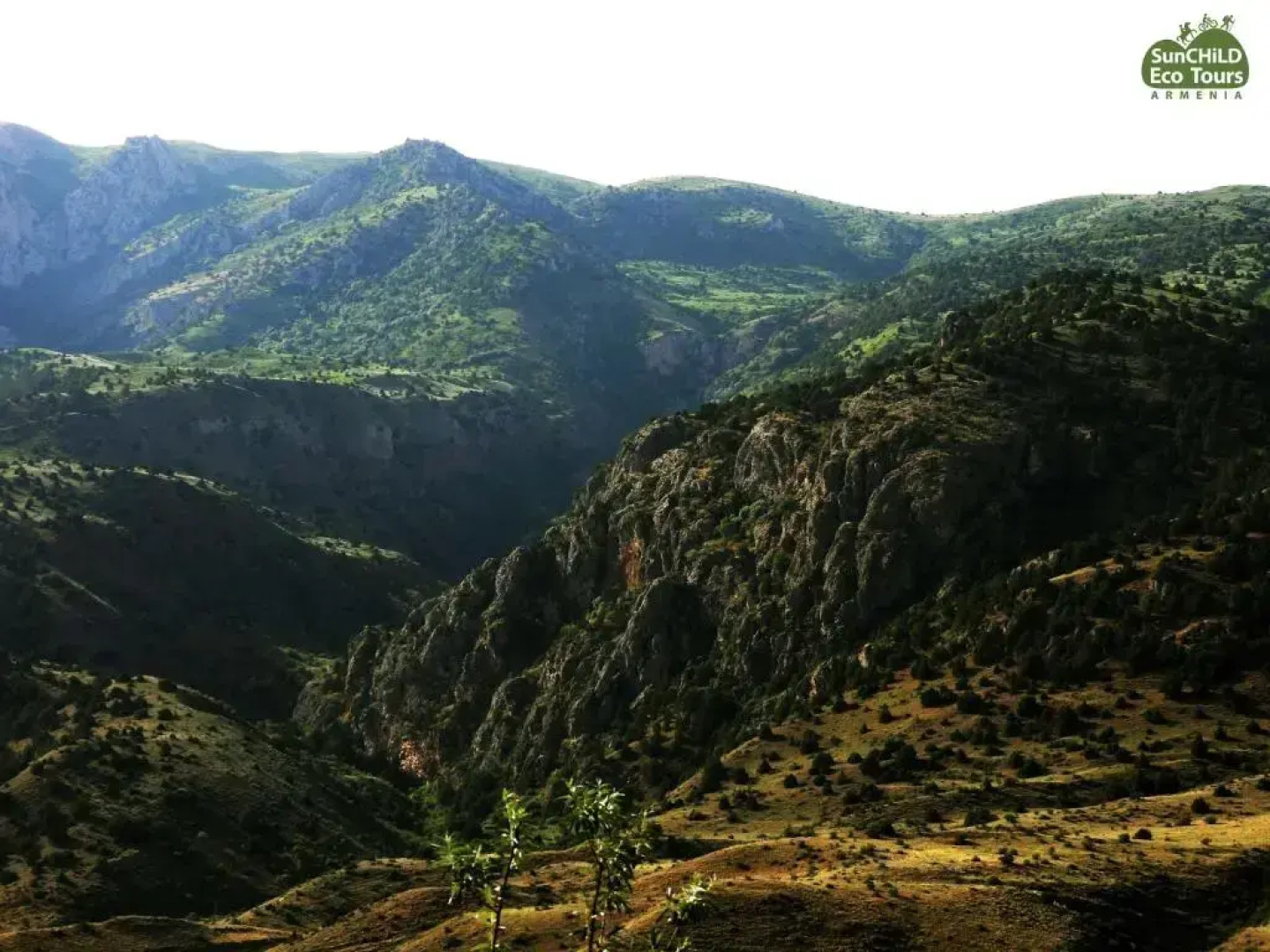 Отель Eco Lodge in the Caucasus Wildlife Refuge