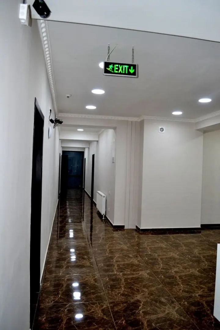 Отель Three Penguins