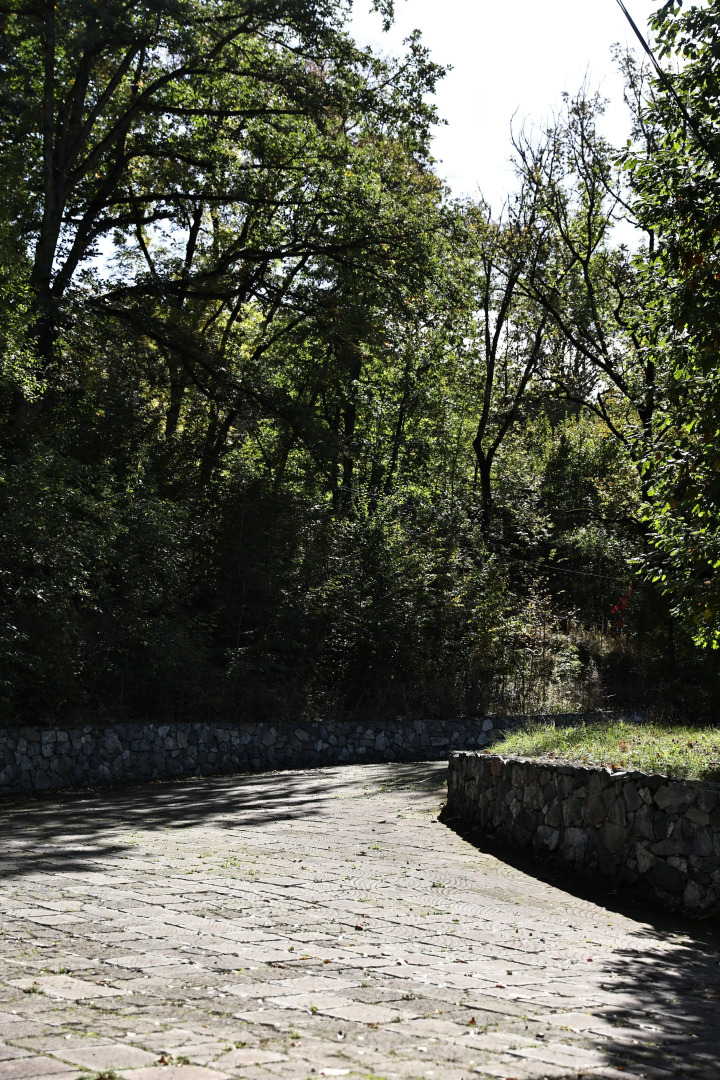 Курортный отель Dilijan Park Resort and Villas