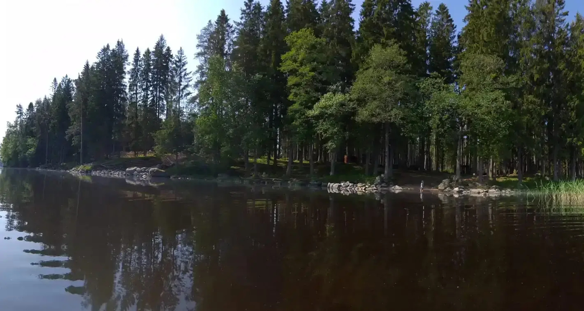 Частный дом Лес и Озеро