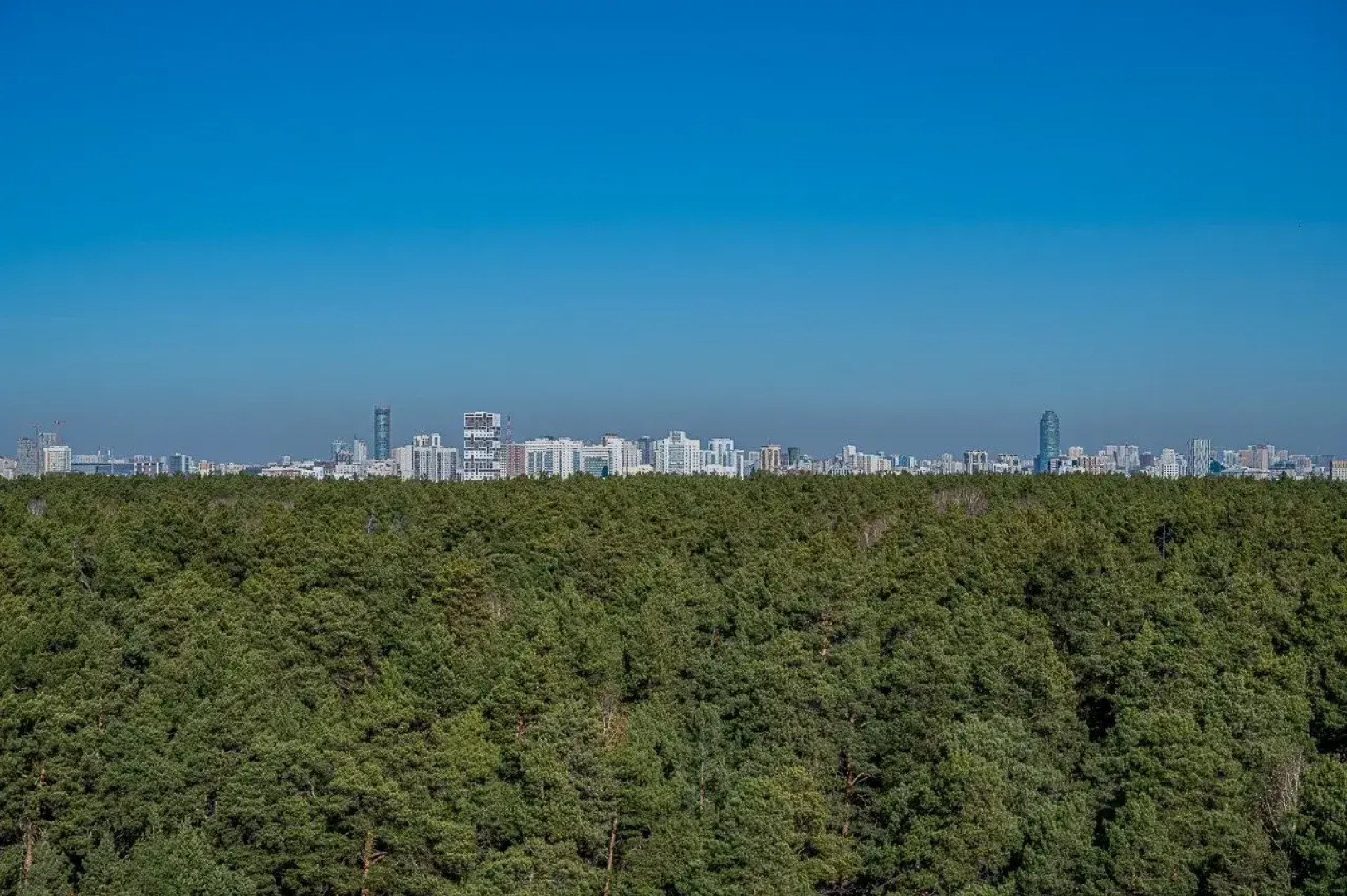 Квартира Великолепная Квартира с Видом на Сосны