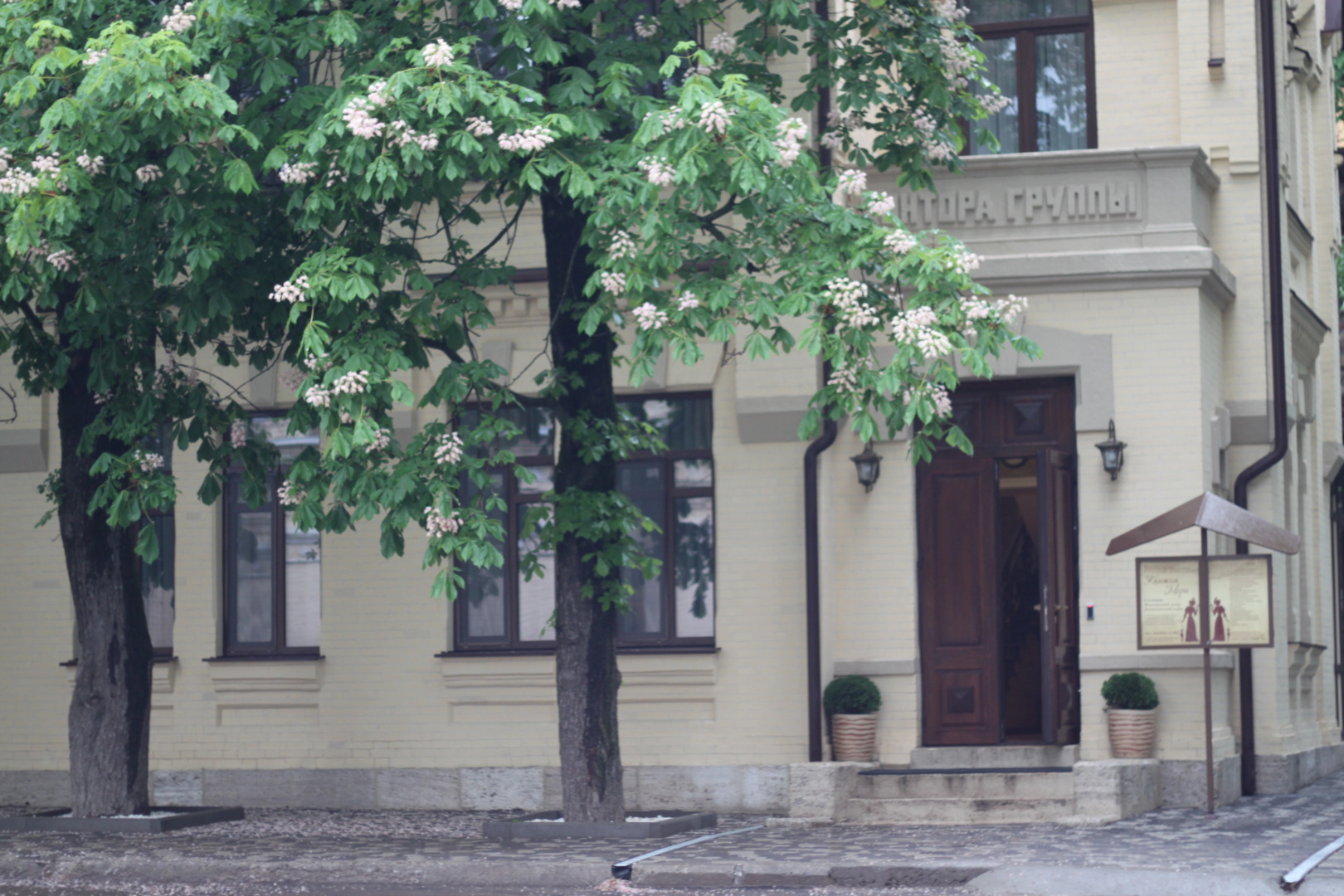 Мини-Отель Медицинский центр Княжна Мери