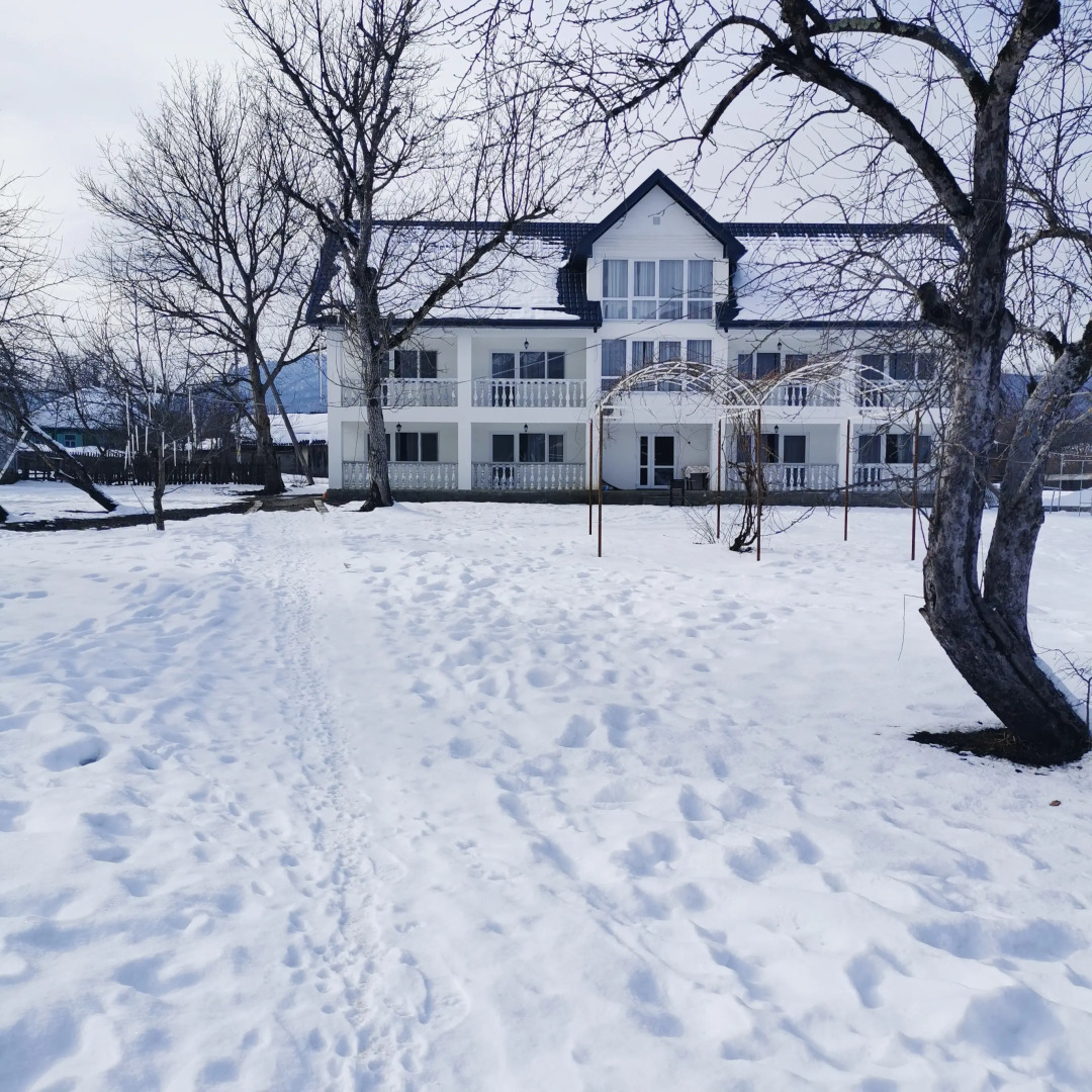 Гостевой дом Большой гостевой дом Ореховая роща