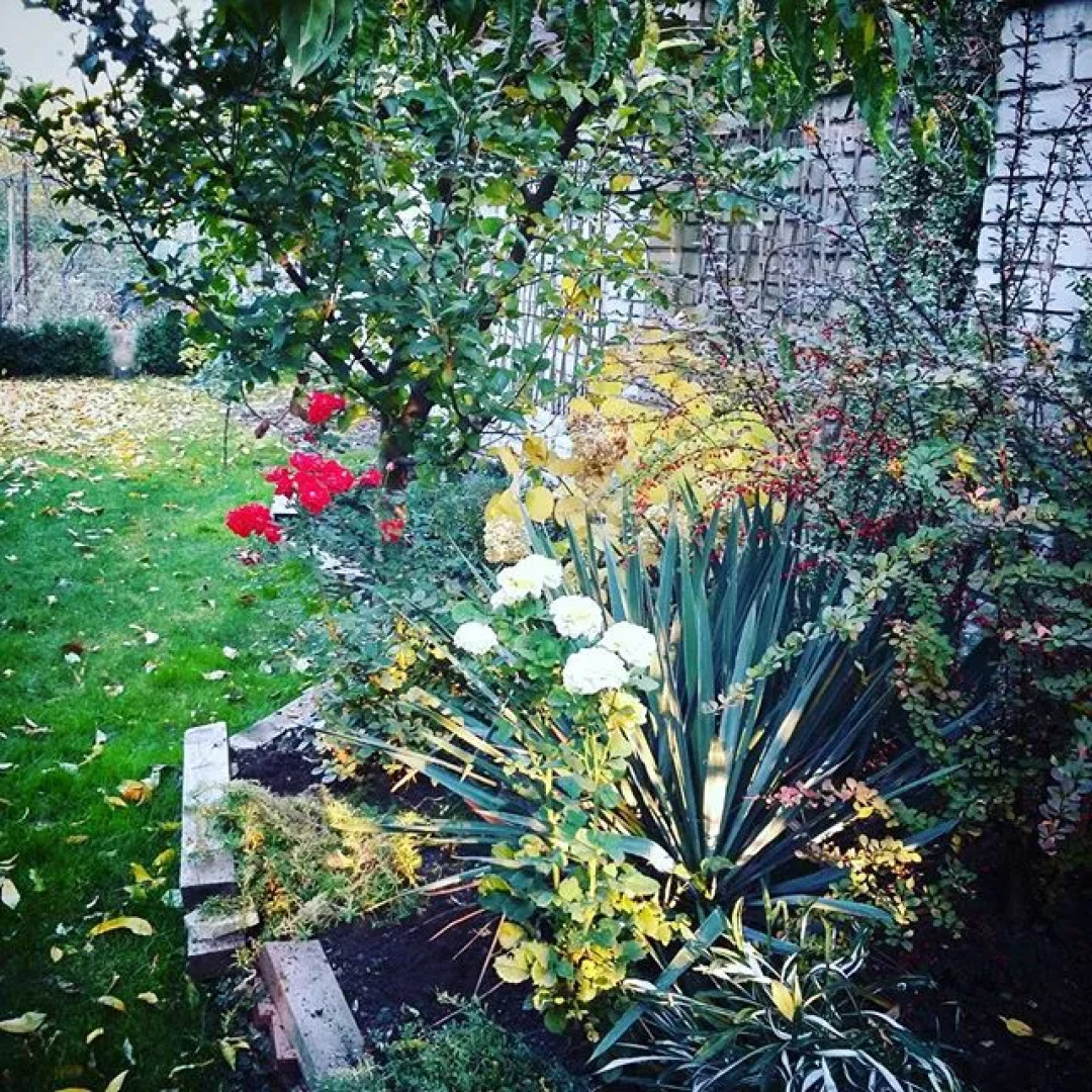 Апарт-Отель Южный Дворик