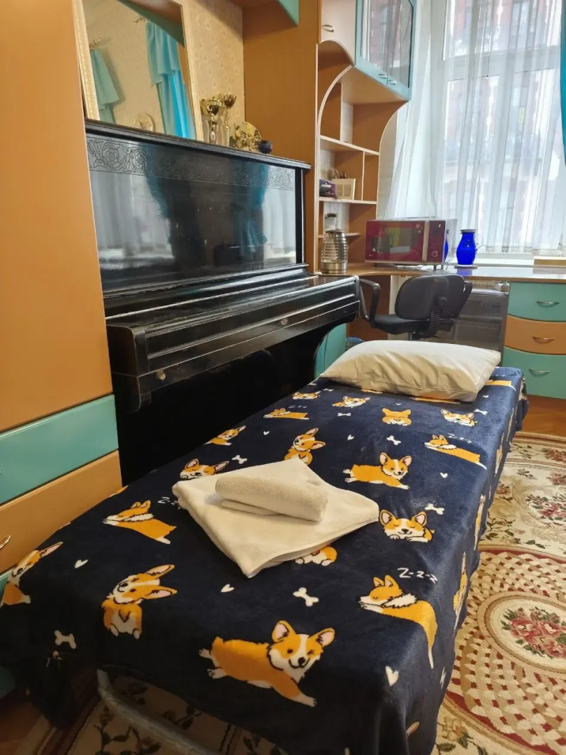 Меблированные комнаты Центр Пушкинская 10