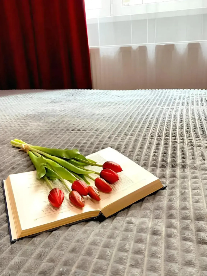 Квартира Студия