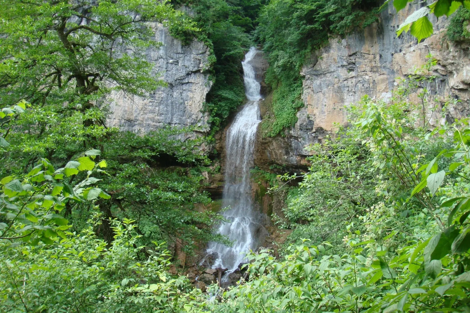 Ферма Колхидские Ворота