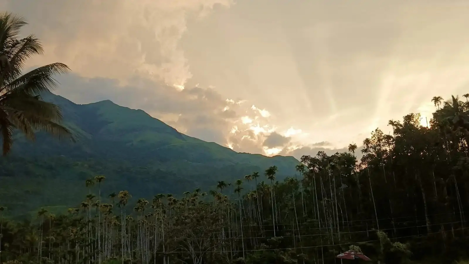 Курортный отель Jungle Valley Resort Wayanad