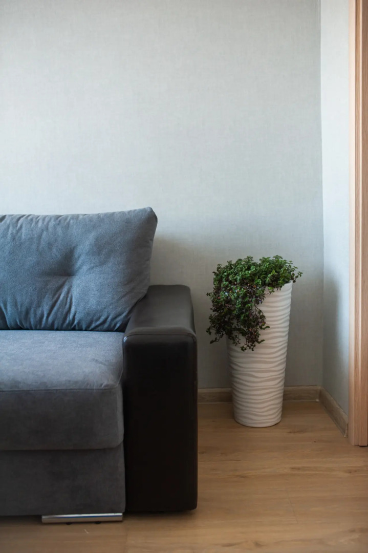 Квартира у Лахтинского разлива