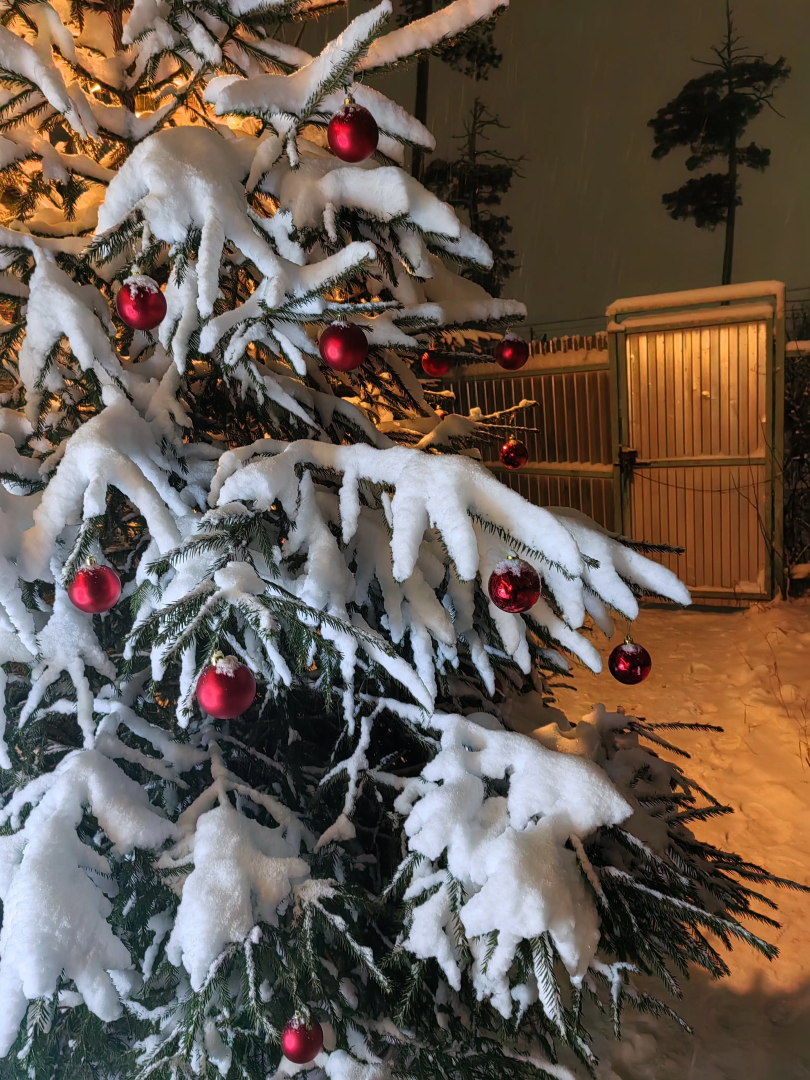 Частный дом в городе Петрозаводске с красивым уединённым участком и баней