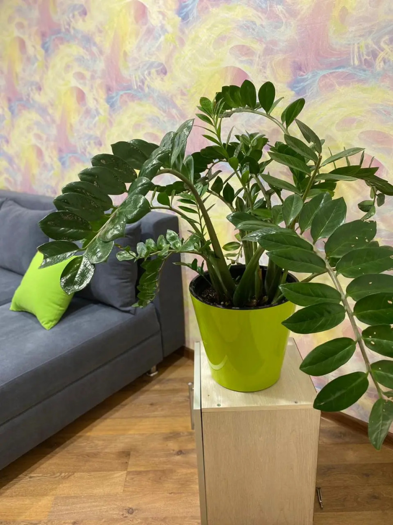 Апартаменты Diaday Irk 124