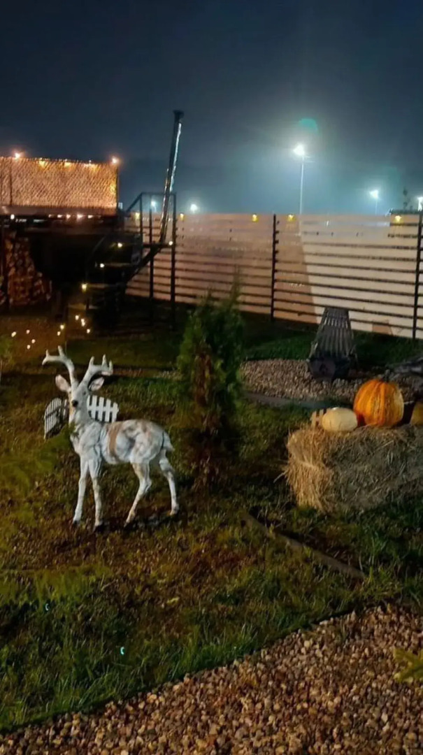 Частный дом на Каштановой 219