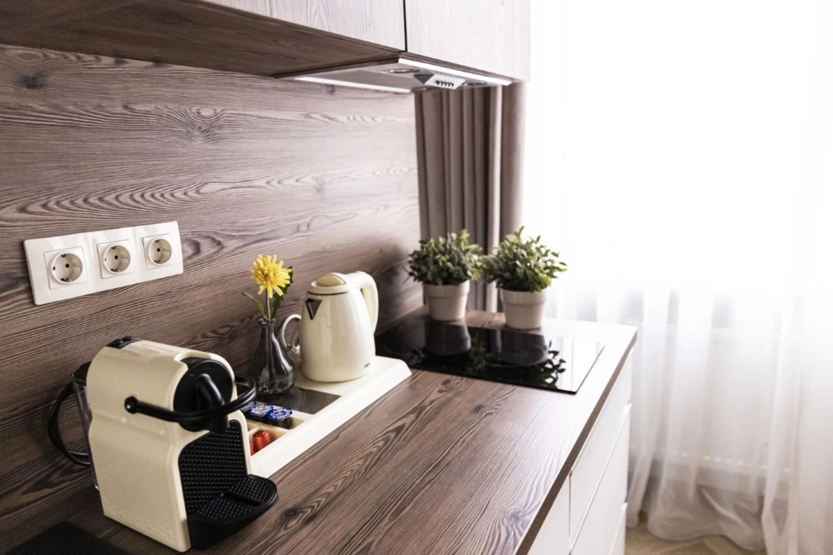 Апартаменты Пушкин г.Краснодар 1