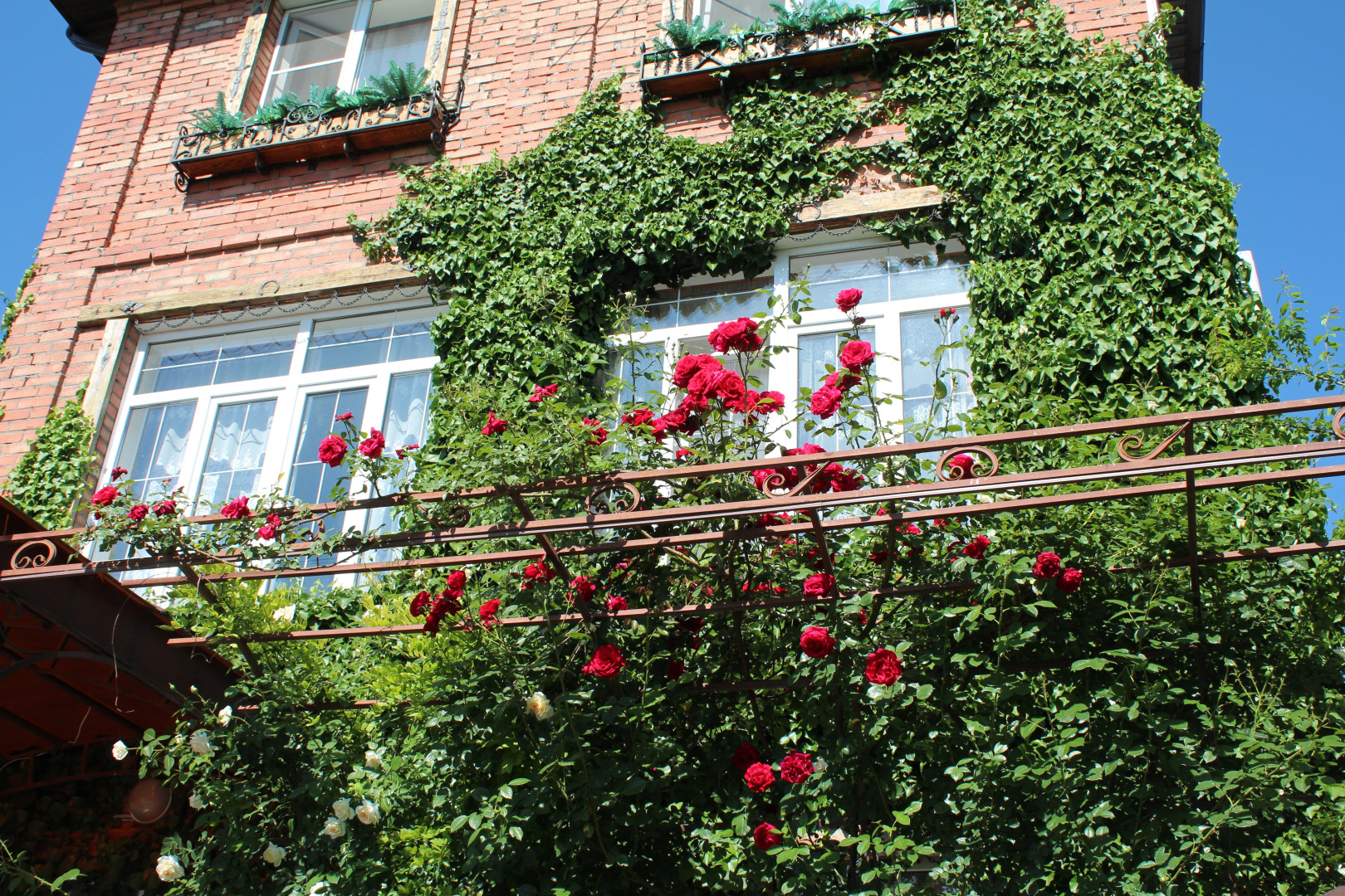 Меблированные комнаты У Друзей