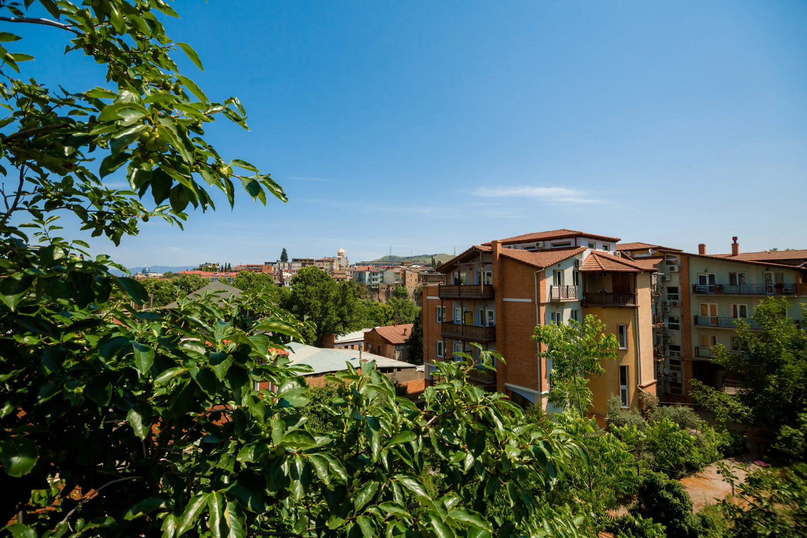 Отель Gvino Minda