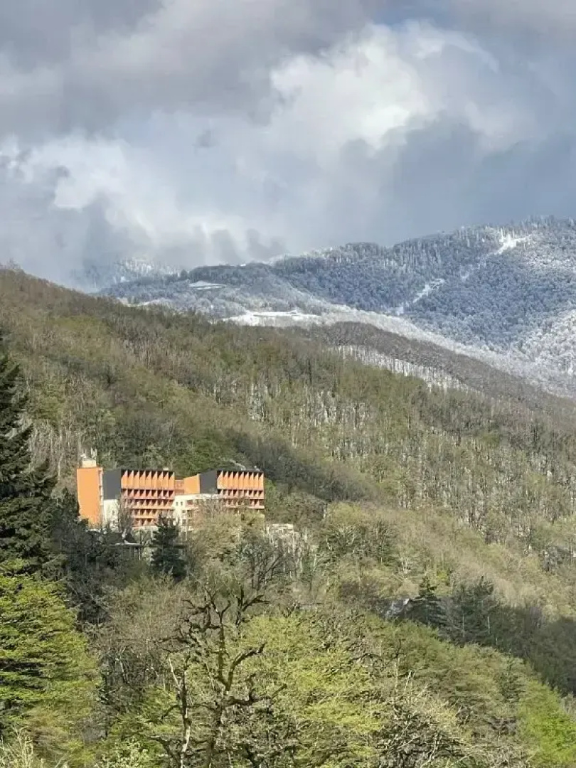 Апартаменты Панорама Парк Красная Поляна