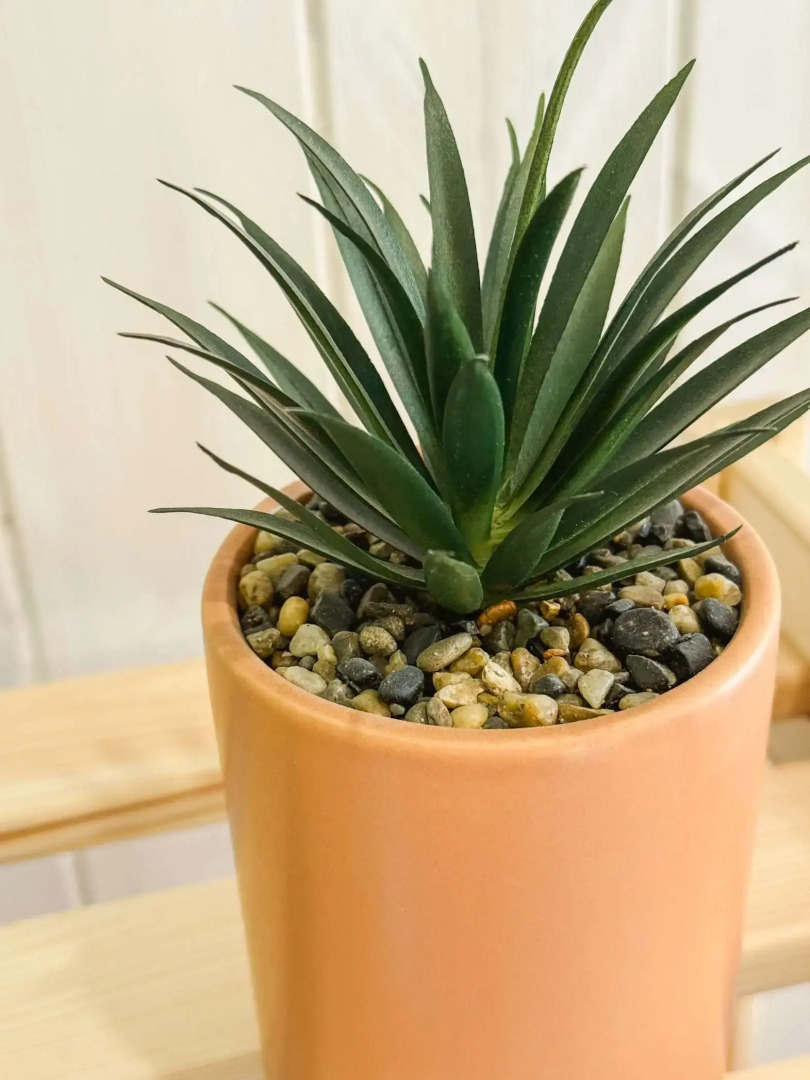 Частный дом Изумруд в Саргазах