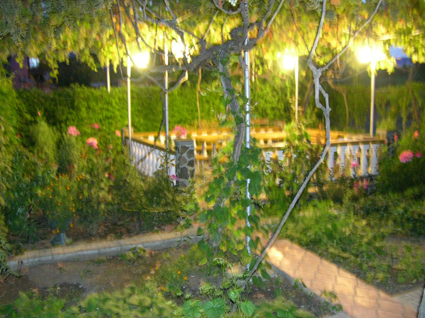 Отель OAI Park Resort