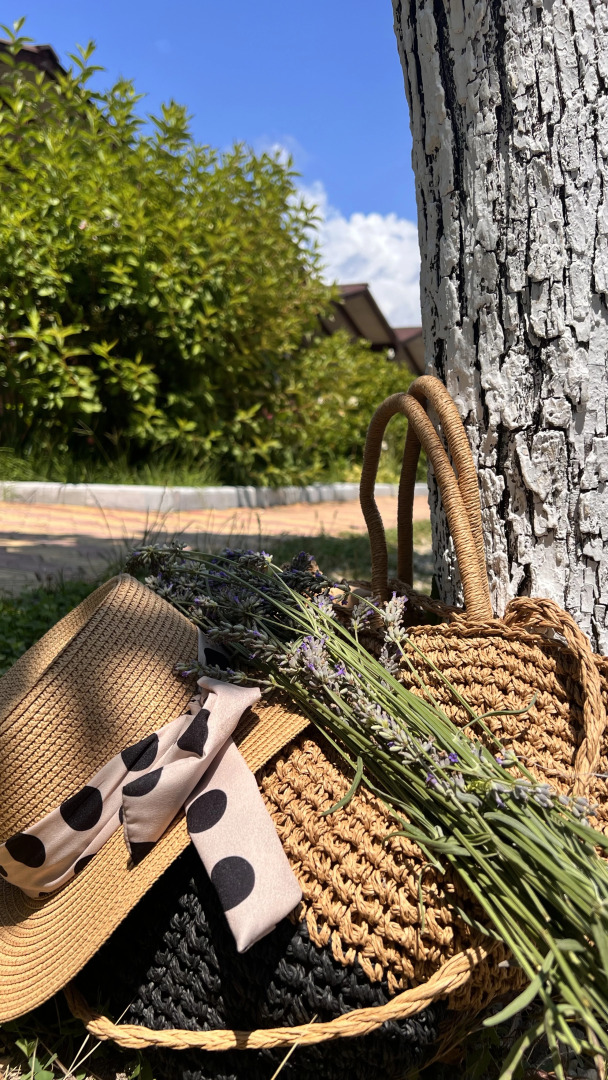 Гостевой дом MiMi