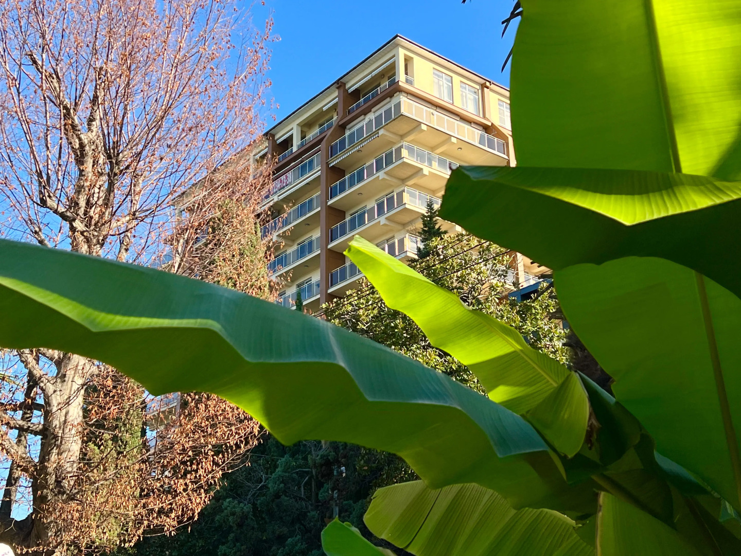 Альфа Апартаменты